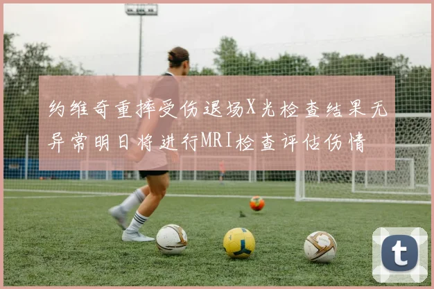 约维奇重摔受伤退场X光检查结果无异常明日将进行MRI检查评估伤情