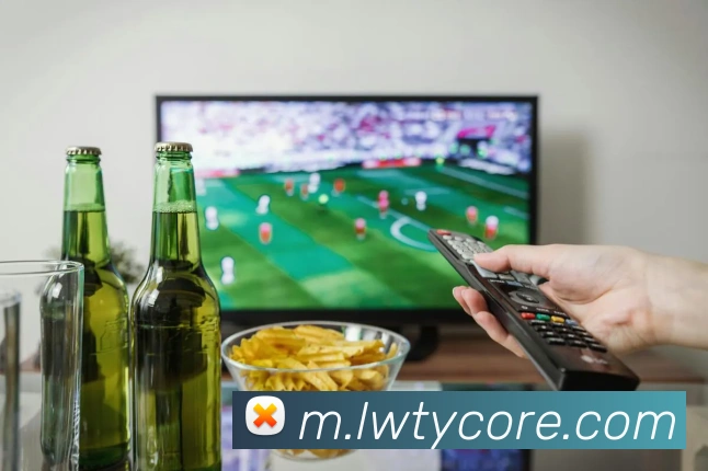 乐玩体育APP 封面图